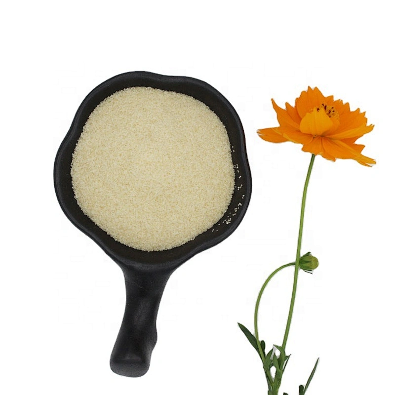 Wholesale Edible Food Grade Bovine Gelatin Powder for Food